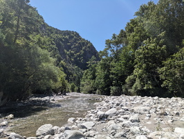 PXL 20230805 104001072